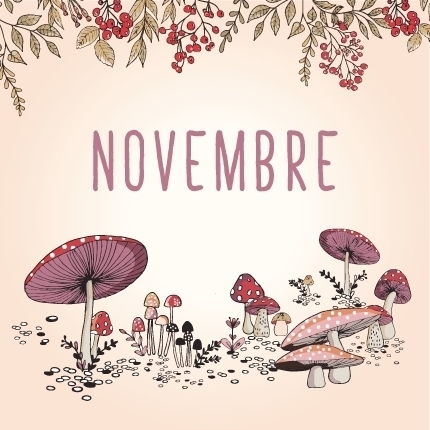 Programme mois Novembre
